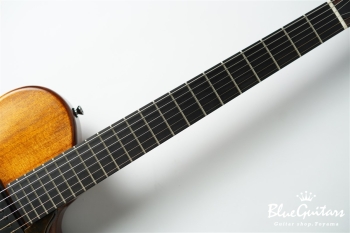 Arcus Thinbody Archtop - Organic Texture