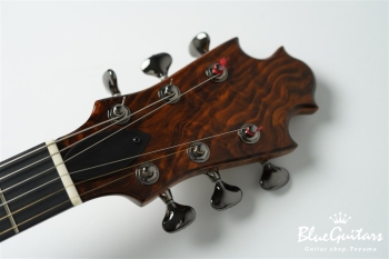 Arcus Thinbody Archtop - Organic Texture