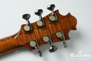 Arcus Thinbody Archtop - Organic Texture