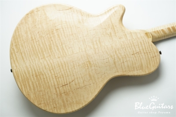 Arcus Archtop - Nature