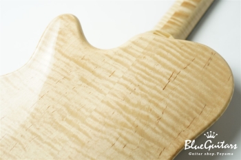 Arcus Archtop - Nature