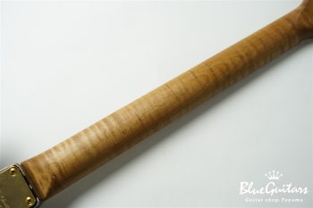 XSC-2 - Black Heavy Aged / Alder / RM-RM #3301