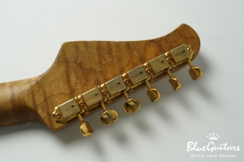 XSC-2 - Black Heavy Aged / Alder / RM-RM #3301