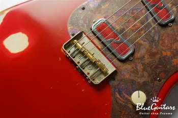 IRIS #172 Medium Aged - Fiesta Red with Copper Red