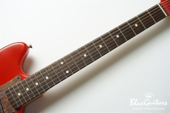 IRIS #172 Medium Aged - Fiesta Red with Copper Red