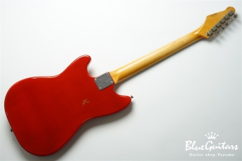 IRIS #172 Medium Aged - Fiesta Red with Copper Red