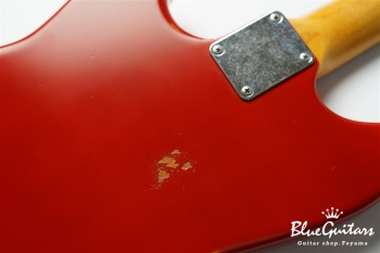 IRIS #172 Medium Aged - Fiesta Red with Copper Red