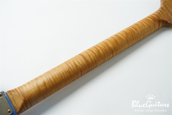 XSC-2 - Lake Placid Blue Heavy Aged / Alder / RM-RM #3333