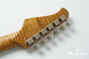 XSC-2 - Lake Placid Blue Heavy Aged / Alder / RM-RM #3333