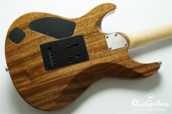 FUTURA-S SSH / Flame Tochi Top, Monkey Pod Back - Faded Lazuli Blue