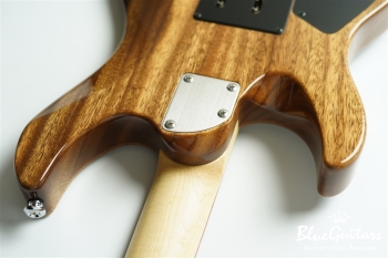 FUTURA-S SSH / Flame Tochi Top, Monkey Pod Back - Faded Lazuli Blue