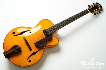 Ladybug Ltd. SFM-C/SI