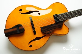 Ladybug Ltd. SFM-C/SI