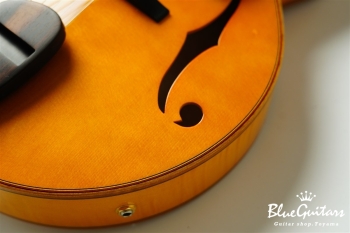 Ladybug Ltd. SFM-C/SI