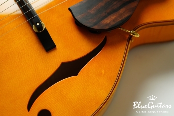 Ladybug Ltd. SFM-C/SI