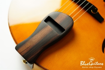 Ladybug Ltd. SFM-C/SI