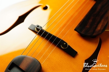 Ladybug Ltd. SFM-C/SI