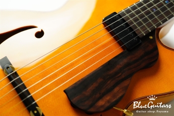 Ladybug Ltd. SFM-C/SI