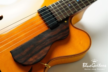 Ladybug Ltd. SFM-C/SI