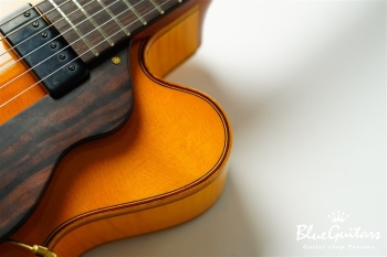 Ladybug Ltd. SFM-C/SI