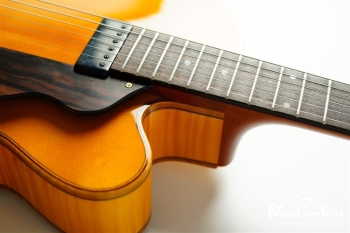 Ladybug Ltd. SFM-C/SI