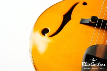 Ladybug Ltd. SFM-C/SI