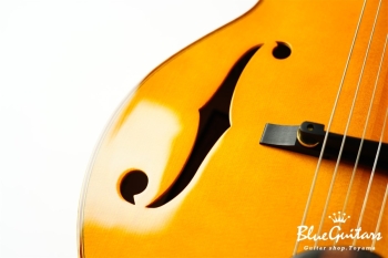 Ladybug Ltd. SFM-C/SI