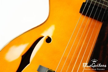 Ladybug Ltd. SFM-C/SI