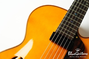 Ladybug Ltd. SFM-C/SI