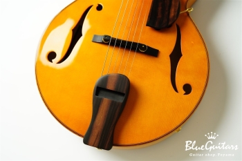 Ladybug Ltd. SFM-C/SI