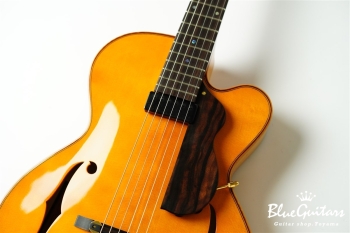 Ladybug Ltd. SFM-C/SI