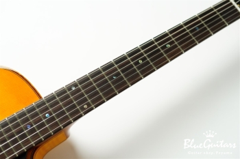 Ladybug Ltd. SFM-C/SI