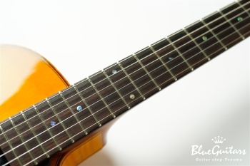 Ladybug Ltd. SFM-C/SI