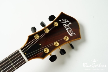 Ladybug Ltd. SFM-C/SI