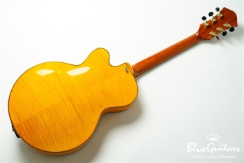 Ladybug Ltd. SFM-C/SI