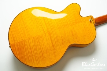 Ladybug Ltd. SFM-C/SI