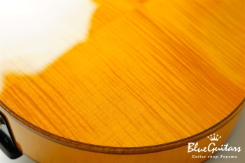 Ladybug Ltd. SFM-C/SI