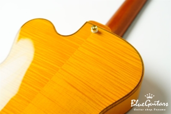 Ladybug Ltd. SFM-C/SI