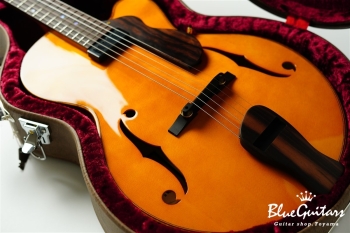 Ladybug Ltd. SFM-C/SI