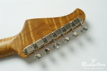 XSC-2 Surf Green Light Aged / Alder / RM-R #768