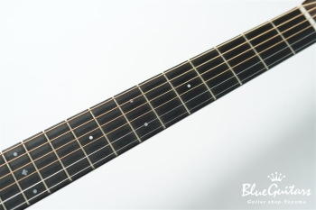 OMJM John Mayer 20th Anniversary