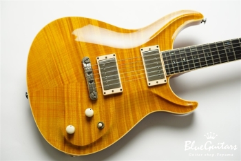 Standard 6 Strings - Transparent Amber
