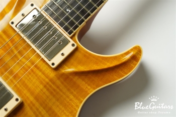 Standard 6 Strings - Transparent Amber