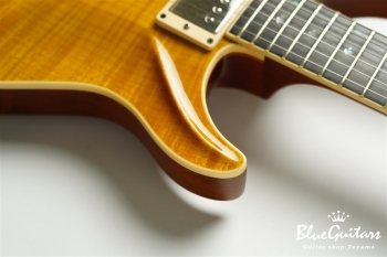 Standard 6 Strings - Transparent Amber