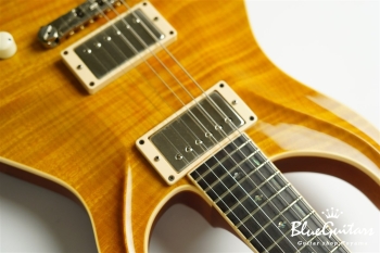 Standard 6 Strings - Transparent Amber