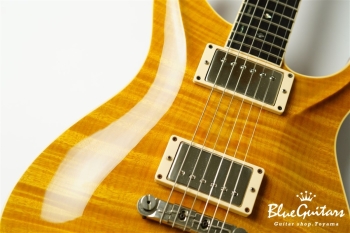 Standard 6 Strings - Transparent Amber