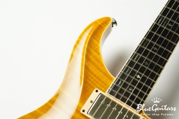 Standard 6 Strings - Transparent Amber