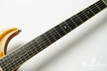 Standard 6 Strings - Transparent Amber