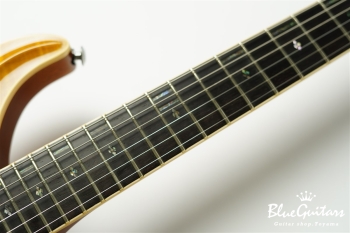 Standard 6 Strings - Transparent Amber