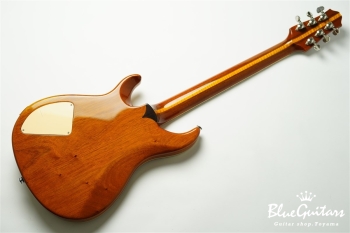 Standard 6 Strings - Transparent Amber